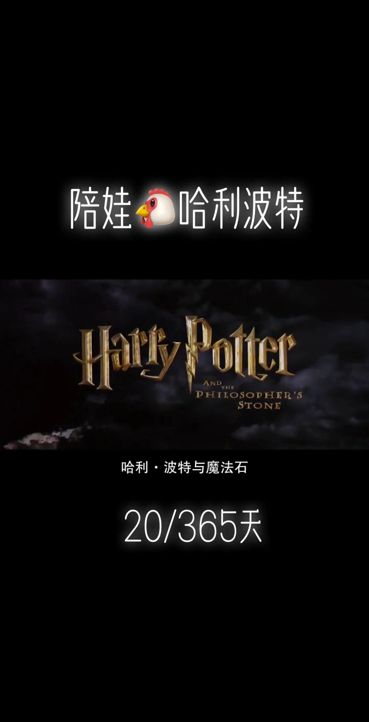 哈利波特与魔法石国语版(哈利波特与魔法石读后感)