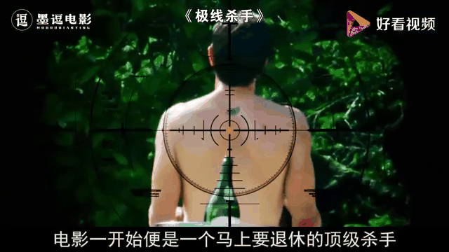 极线杀手在线观看(极线杀手在线观看视频)