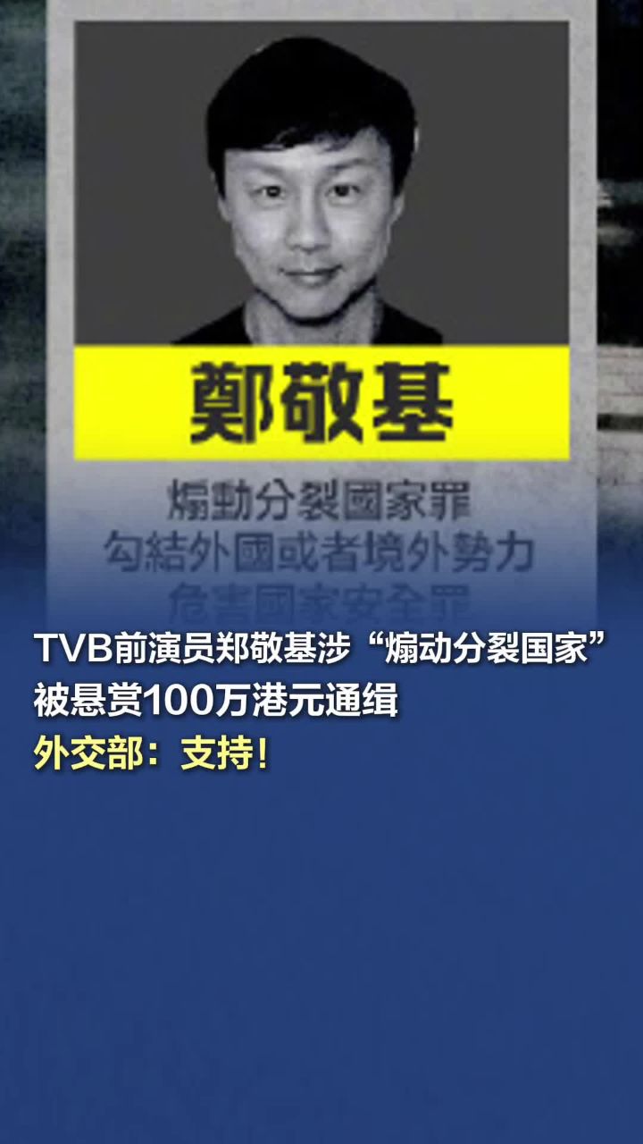 省港一号通缉犯国语(省港一号通缉犯国语在线看)