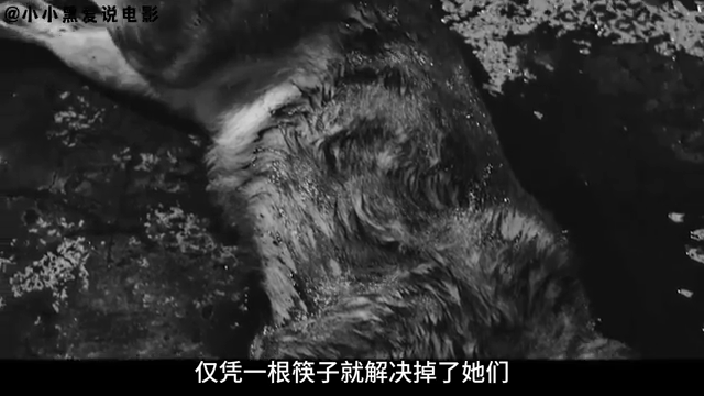 邻家女孩电影(邻家女孩电影美剧在线观看免费)