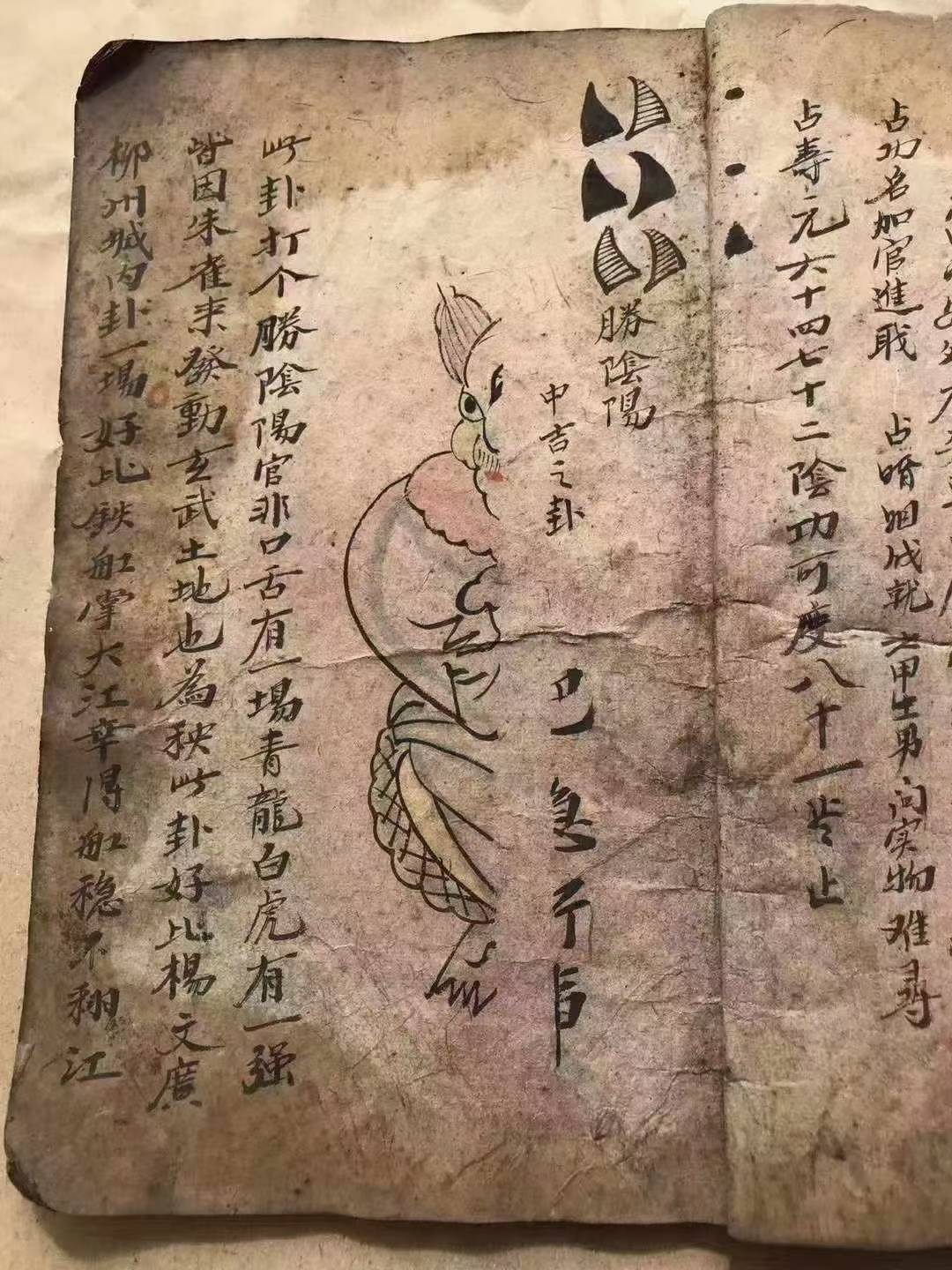 女巫清算(女巫清算剧情介绍)
