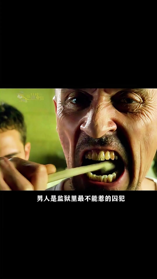 囚犯电影2014在线观看(电影囚犯免费版)