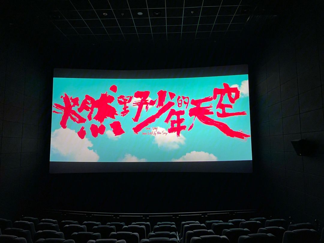 燃野少年的天空在线观看完整版(燃野少年的天空高清在线观看)