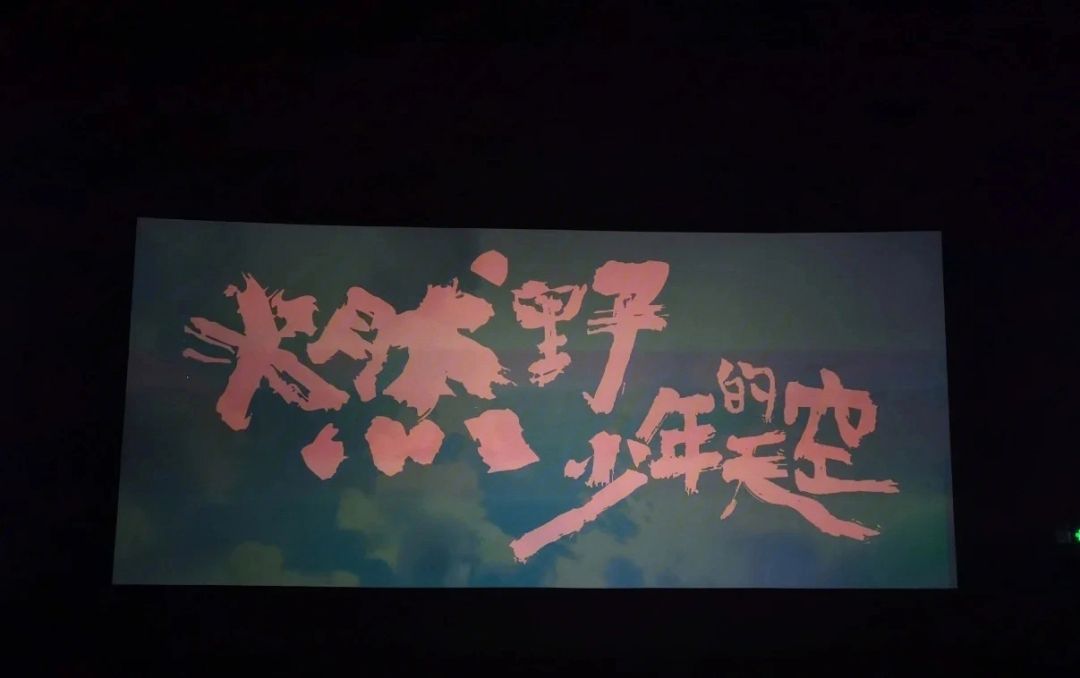 燃野少年的天空在线观看完整版(燃野少年的天空高清在线观看)