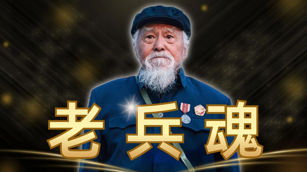 老兵电视剧在线观看(老兵电视剧免费版)