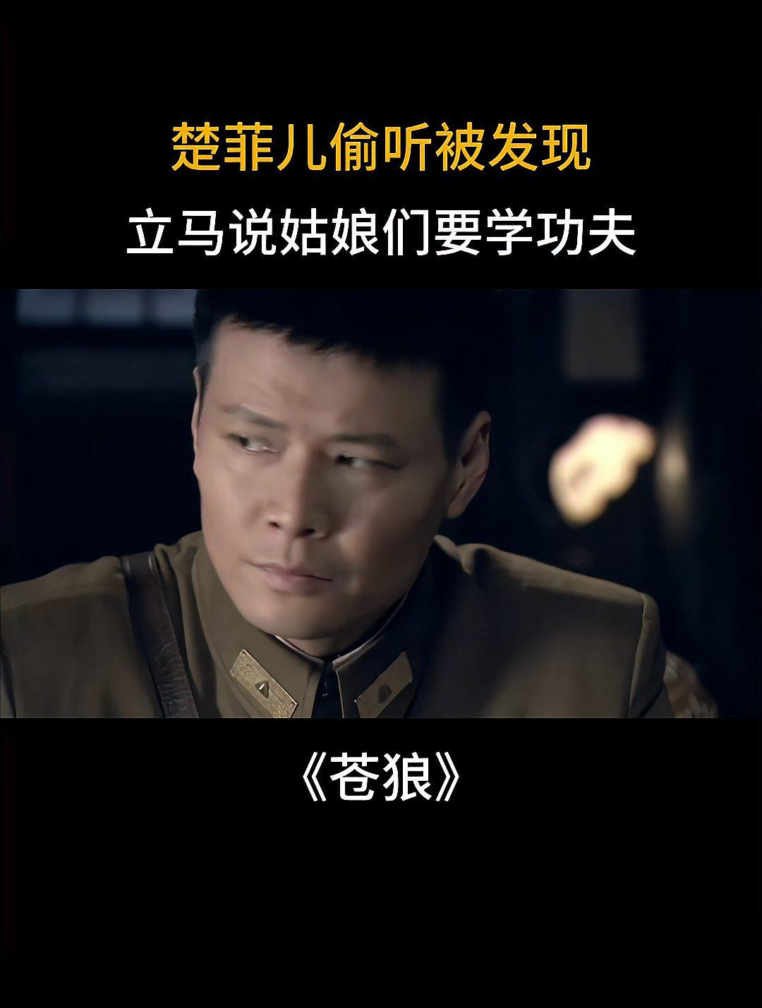 苍狼电视剧全集在线观看(苍狼电视剧全集在线观看免费)