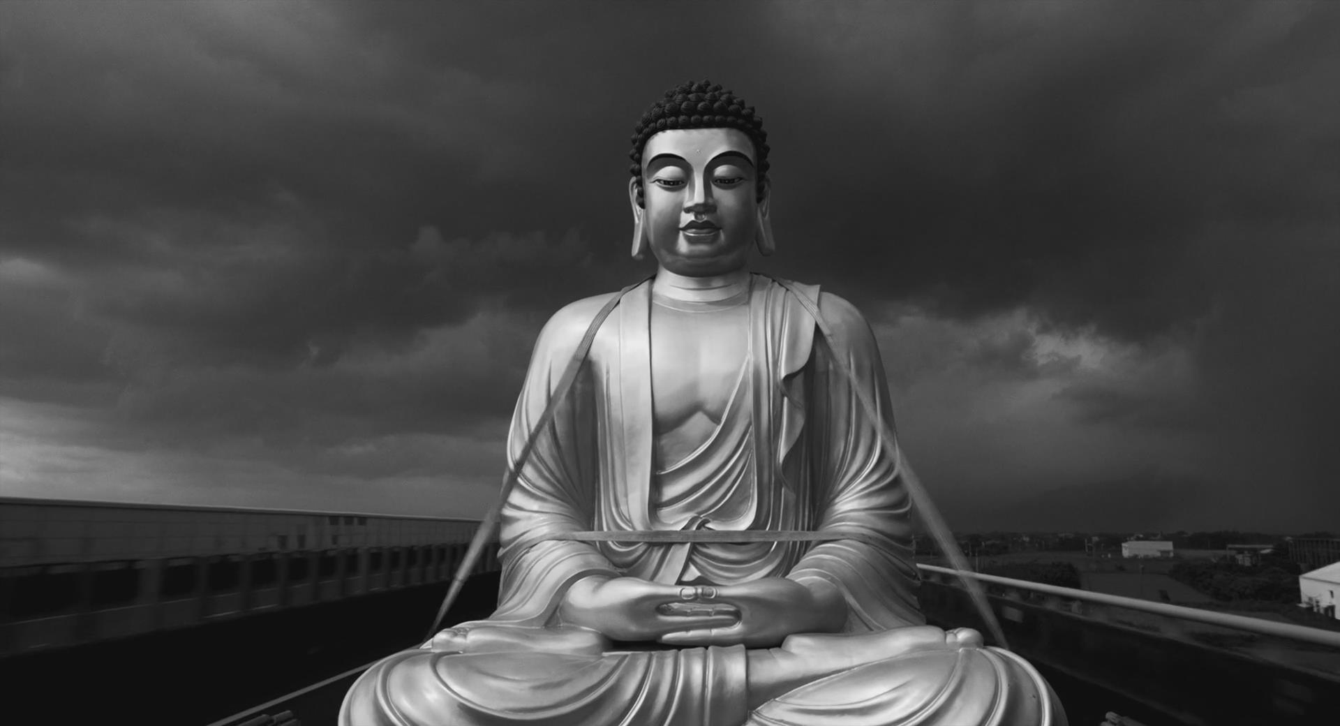 大佛普拉斯下载(大佛普拉斯下载链接)
