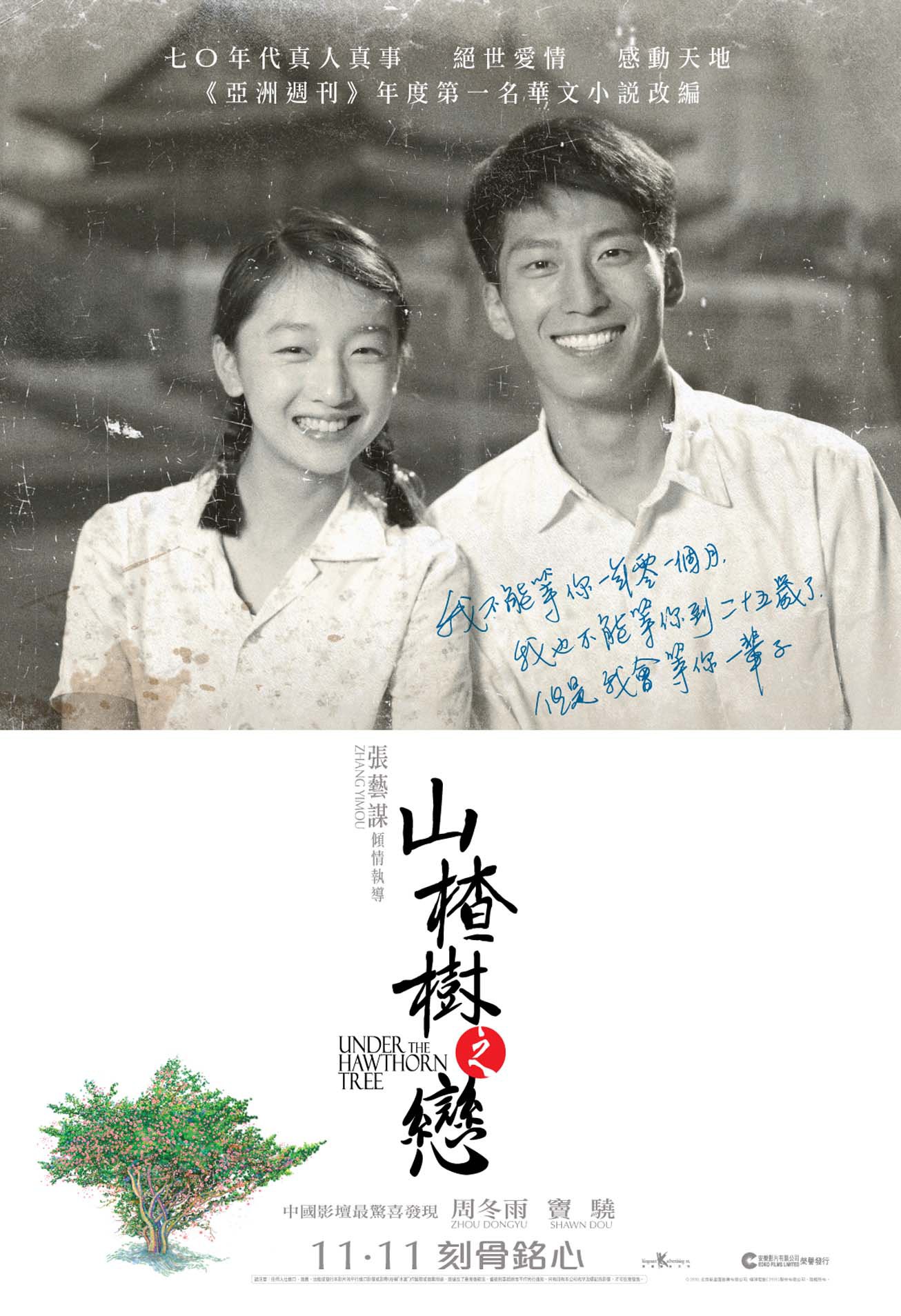 山楂树之恋电视剧在线观看(山楂树之恋电视剧免费完整版)