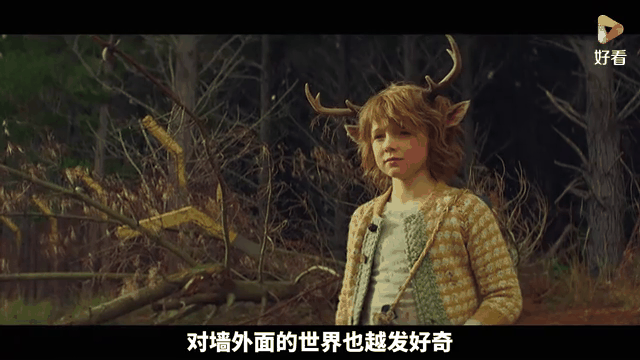 鹿角男孩在线观看(鹿角男孩普通话版在线观看)