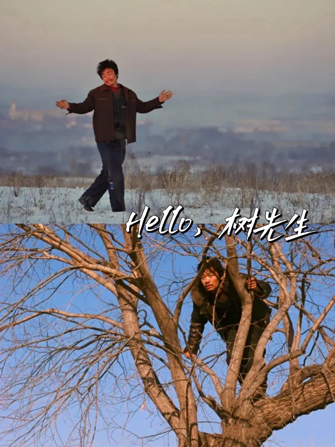 hello树先生下载(hello 树先生完整版种子)