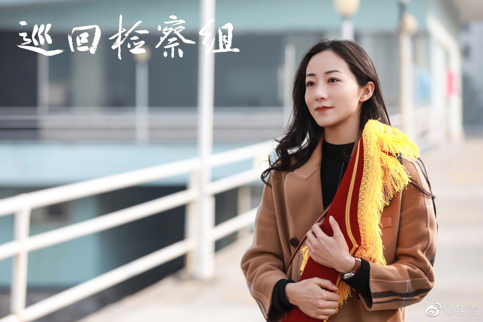 巡回检察组全集免费播放(巡回检察组在线观看播放)