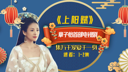 上阳赋全集在线观看(上阳赋在线观看12集)