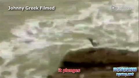 电影下水道美人鱼(电影下水道美人鱼的主要内容)