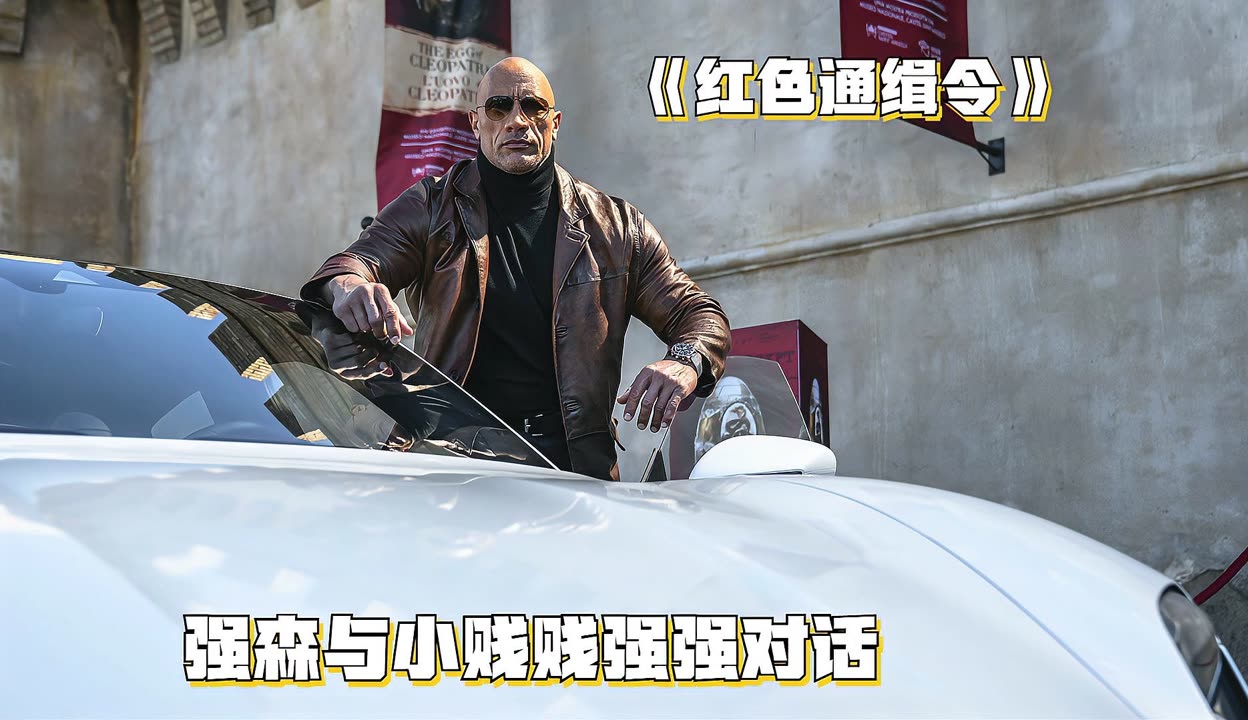 通缉令在线观看(特工通缉令在线观看)