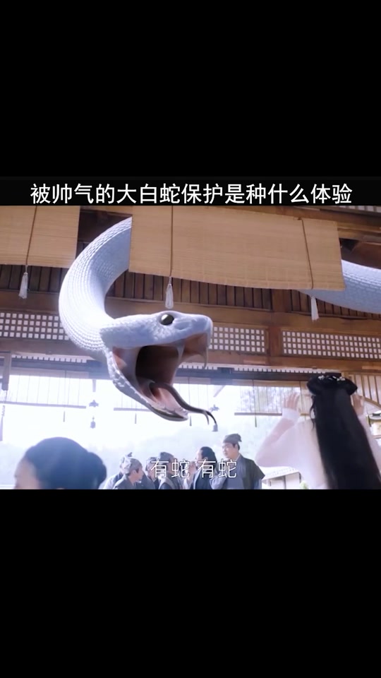 长白灵蛇传电影(长白灵蛇传电影在线观看西瓜视频)