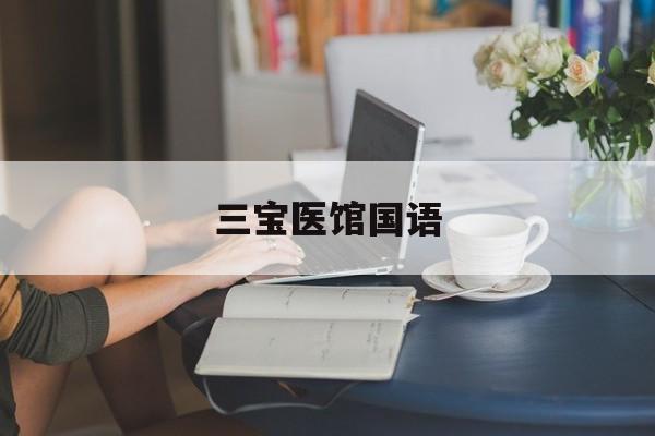 三宝医馆国语(三宝医馆国语版)