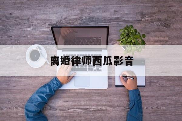 离婚律师西瓜影音(离婚律师在线观看)